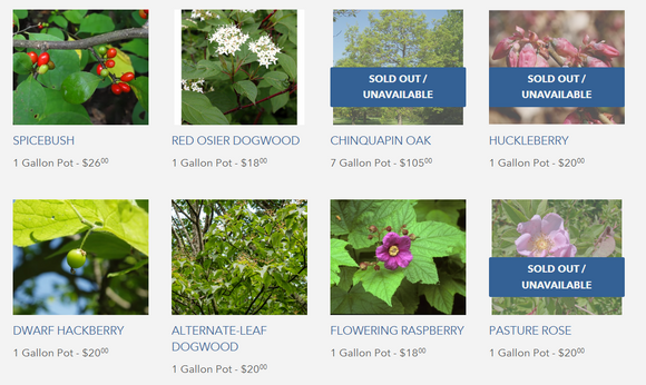 Inventory Increase! Deadline Sept 15!