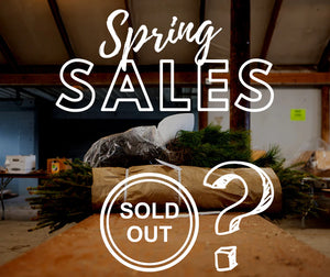 2024 Spring Tree Sale Updates!