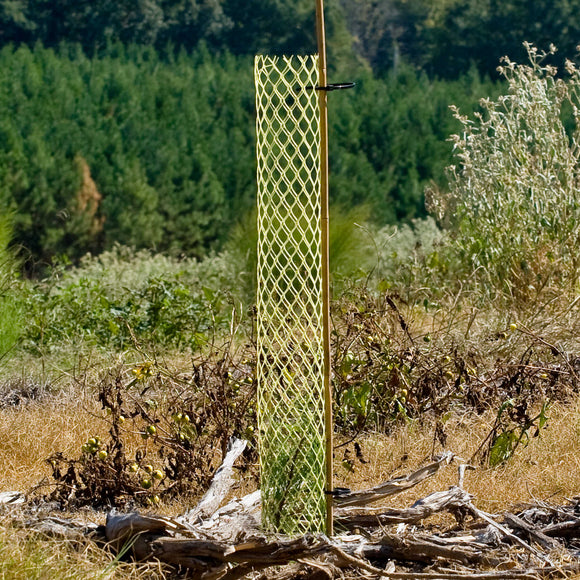 3 ft Rigid Seedling Protector Tube