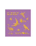 Native Plant Expo T-Shirt