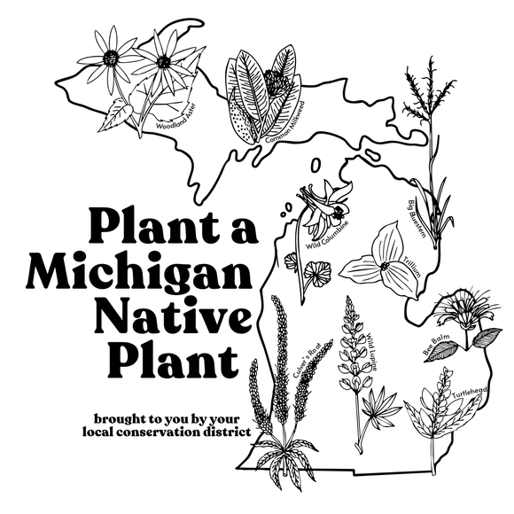 Michigan Native Plants T-Shirts