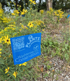 Plants in Progress marking flag (blue)