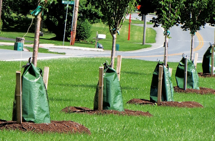 Tree Planting Bags & Accessories - Pacforest Supply Company