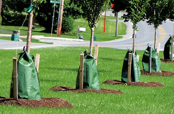 Treegator Same Material Slow Release PE Tree Watering Bag - China PE  Watering Bag and Tree Watering Bag price | Made-in-China.com
